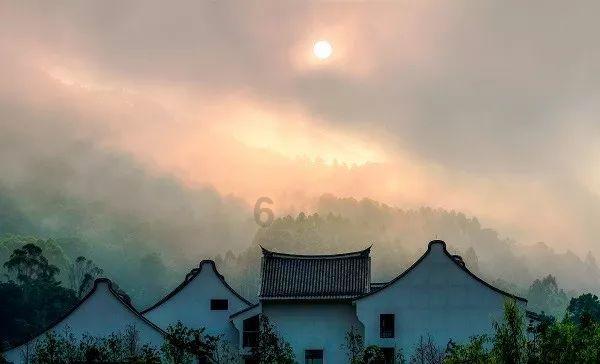 奥莉的夏威夷之旅